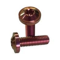 Titanium Alloy Disc Head Torx Invita